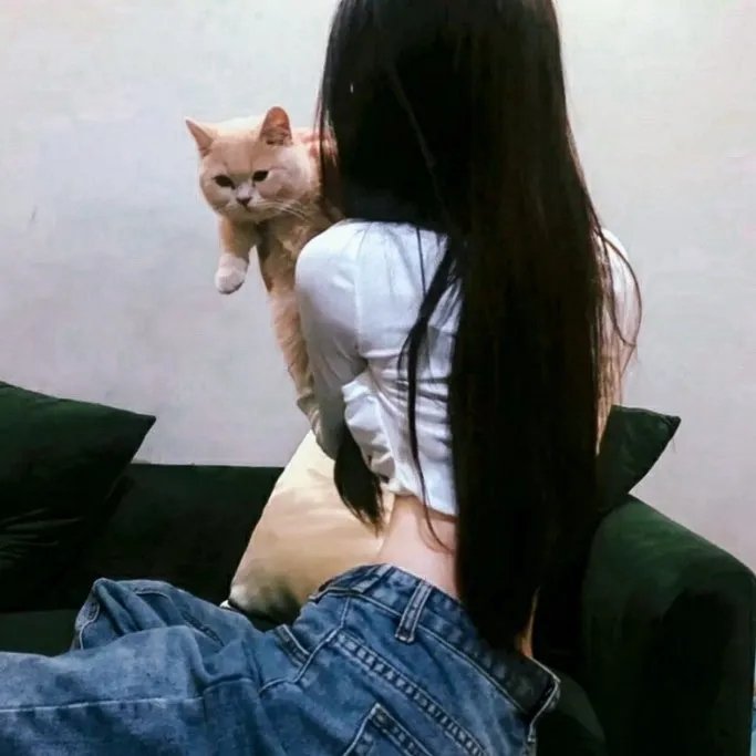 第二梦