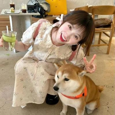 人妖打排球2